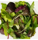 Buzzy Baby Leaf Salad / Oriental Mix - Saatgut für gemischten Salat - Gemüsesamen kaufen?
