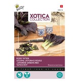 Buzzy Japanese Red Tatsoi - Kohlsorte - Exotische Gemüsesaatgut kaufen?