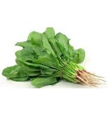 Buzzy Buy Bayam - Chinese Spinach - Exotic Vegetable Seeds? - Garden-Select.com