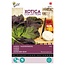 Buzzy Red Amsoi / Mustard Cabbage - Spicy Leaf Cabbage - Buy Exotic Vegetable Seeds?