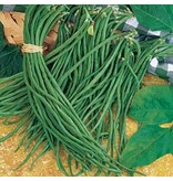 Buzzy Long beans / Black Seeded - Stick / Climbing - Buy Exotic Vegetable Seeds?