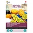 Buzzy Kiwano - Hoornkomkommer - Exotische Groente En Fruitzaden Kopen? - Garden-Select.nl