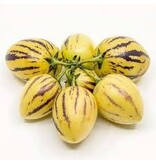 Buzzy Meloenpeer / Pepino - Appelmeloen - Exotische Fruitzaden Kopen? Garden-Select.nl