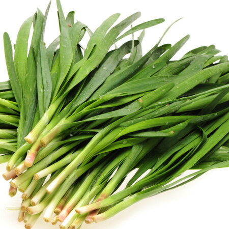 Buzzy Chinese Chives - Garlic Chives - Buy Exotic Herb Seeds? Garden Select