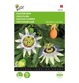 Buzzy Passiebloem / Passiflora Caerulea - Exotische Bloemzaden Kopen? Garden-Select.nl