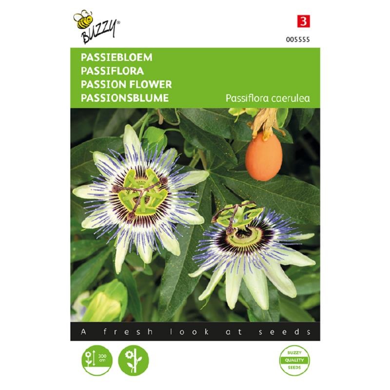 Where Can I Buy Passion Flower Passion Flower / Passiflora Caerulea - Buy Exotic Flower Seeds? Garden