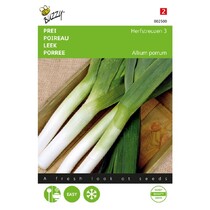 Leek - Autumn crops 2