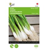 Buzzy Spring Onion - White Lisbon - Onions - Buy Vegetable Seeds? - Garden-Select.com