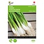 Buzzy Spring Onion - White Lisbon - Onions - Buy Vegetable Seeds? - Garden-Select.com