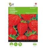 Buzzy Strawberry - Grandian F1 - Sweet, Large Strawberries - Buy Fruit Seeds? Garden-Select.com