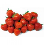 Buzzy Strawberry - Grandian F1 - Sweet, Large Strawberries - Buy Fruit Seeds? Garden-Select.com