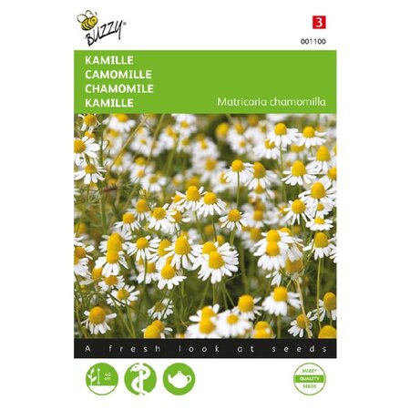 Buzzy Real Chamomile - Fresh Chamomile Tea - Buy Herbal Seeds? Garden-Select.com