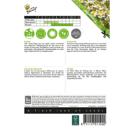 Buzzy Real Chamomile - Fresh Chamomile Tea - Buy Herbal Seeds? Garden-Select.com