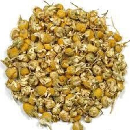 Buzzy Real Chamomile - Fresh Chamomile Tea - Buy Herbal Seeds? Garden-Select.com