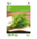 Buzzy Dill - Is an annual herb and gives off a wonderful fragrance - Buy Herbal Seeds?