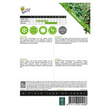 Buzzy Majoran / Majoran / Oregano - Was ist der Unterschied? - Möchten Sie Kräutersamen kaufen?