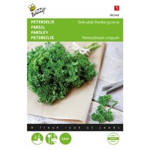 Parsley - Curly Dark Green