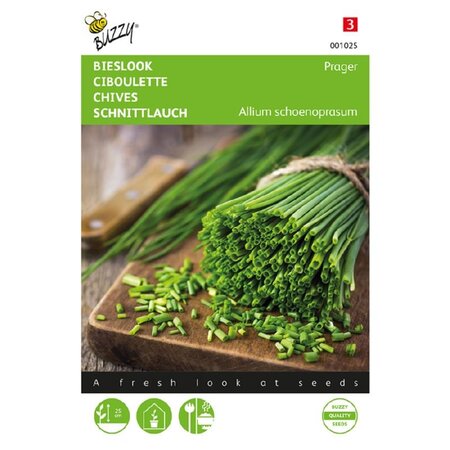 Buzzy Chives - Prager - Fine Chives - Buy Herb Seeds? Garden-Select.com