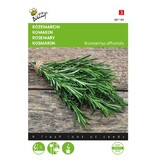 Buzzy Rozemarijn - Groenblijvende, Winterharde Heester - Kruidenzaden Kopen?
