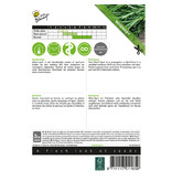 Buzzy Rozemarijn - Groenblijvende, Winterharde Heester - Kruidenzaden Kopen?