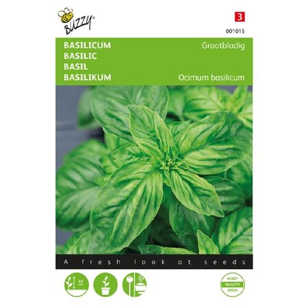 Buzzy Basilicum - Grootbladig - Kan Binnen En Buiten Geteeld Worden - Kruidenzaden Kopen?