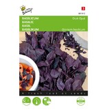 Buzzy Basil - Dark Opal - Annual Dark Purple Extra Spicy Basil - Garden-Select.com