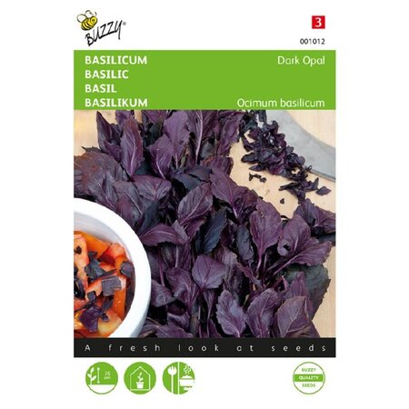 Buzzy Basil - Dark Opal - Annual Dark Purple Extra Spicy Basil - Garden-Select.com