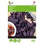 Buzzy Basil - Dark Opal - Annual Dark Purple Extra Spicy Basil - Garden-Select.com