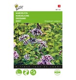 Buzzy Marjolein / Oregano - Kruidige Lichtzoete Smaak - Pizzakruiden - Kruidenzaden Kopen?