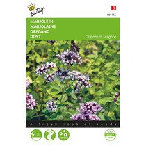 Marjoram / Oregano