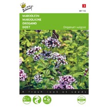 Marjolein / Oregano