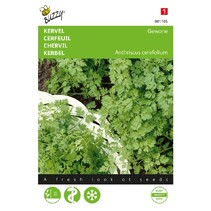 Chervil - Common