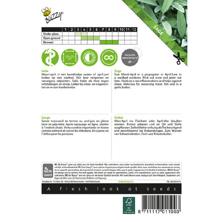 Buzzy Sage - Perennial - For Meat And Fish - Buy Herbal Seeds? Garden-Select.com