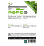 Buzzy Zitronenmelisse - Mehrjährig - Für Tee und Medizin - Kräutersamen kaufen?