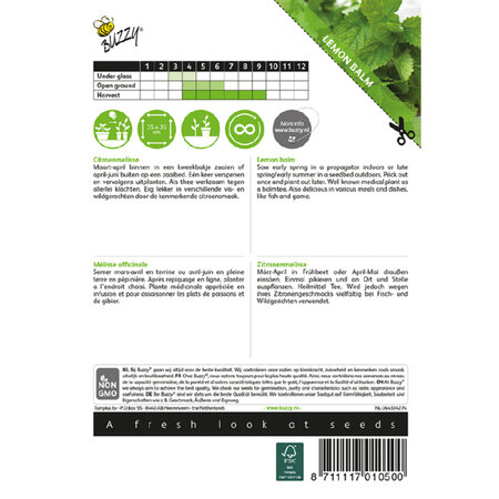 Buzzy Lemon balm - Perennial - For Tea And Medicine - Buy Herbal Seeds?