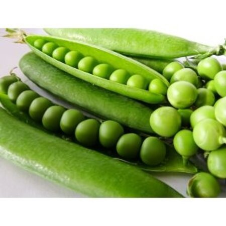 Buzzy Doperwten - Erwt Wonder van Amerika - Zoet Van Smaak - Vroege Ras