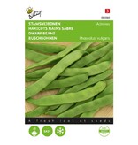 Buzzy Tribal string beans - Admires - Tender Stringless String Beans - Buy Vegetable Seeds?