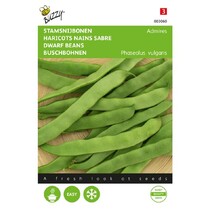 Stangenbohnen - Bewunderung