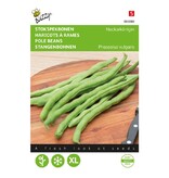 Buzzy French beans - Neckarkönigin - Buy Vegetable Seeds? - High Yield
