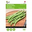 Buzzy French beans - Neckarkönigin - Buy Vegetable Seeds? - High Yield