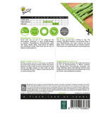 Buzzy French beans - Neckarkönigin - Buy Vegetable Seeds? - High Yield