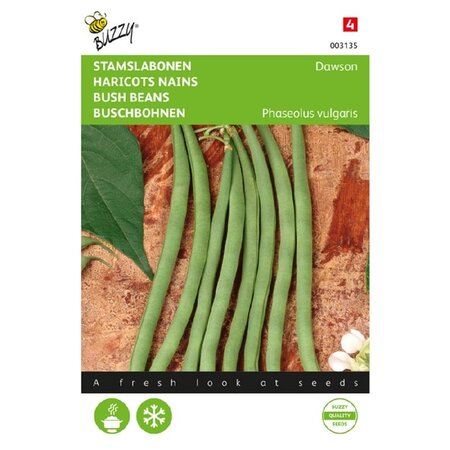 Buzzy Stem Lettuce Beans - Sonata - Bean Seeds Buy? - Early Low Stem Beans