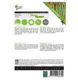 Buzzy Stem Lettuce Beans - Sonata - Bean Seeds Buy? - Early Low Stem Beans