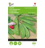 Buzzy Peulen - Grijze Roodbloeiende - Peulen Zaden Kopen? - Groentezaden