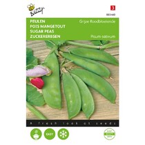 Pods - Grey Redflowering