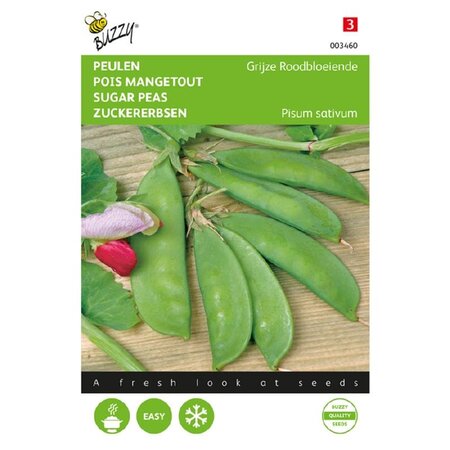 Buzzy Peulen - Grijze Roodbloeiende - Peulen Zaden Kopen? - Groentezaden