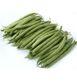 Stem Beans - Miracle - Chinese Beans - 100 Grams - Buy Vegetable Seeds?