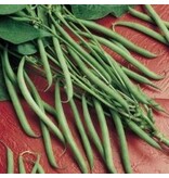 Chinese Beans - Miracle - 25 grams - Stem Beans - Buy Vegetable Seeds?