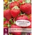 Erdbeerpflanzen - Korona - 5 Pflanzen