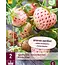 Strawberry plants - White Pine / Pineapple Strawberry - Sweet - 5 Plants